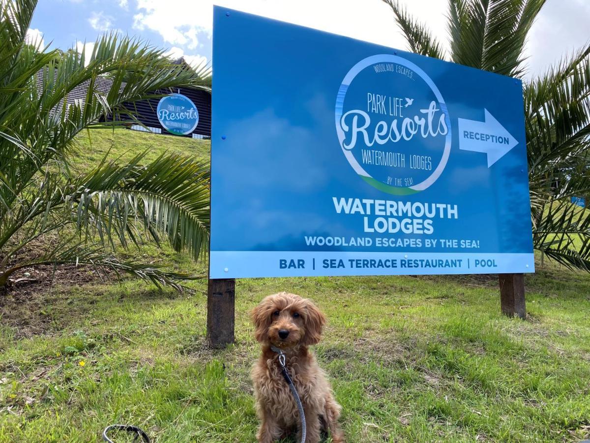 אילפרקומב Watermouth Lodges מראה חיצוני תמונה